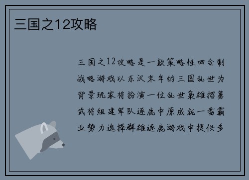 三国之12攻略